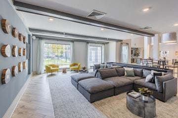 Charlotte apartment for rent - A modern living room with a grey sofa and yellow chairs.