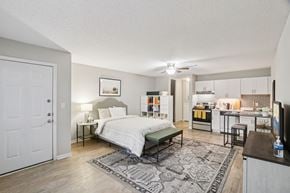 Austin apartment for rent - A bedroom with a bed, nightstand, and a rug.