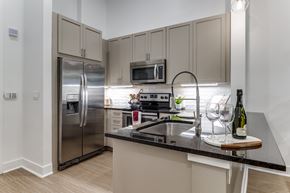 Dallas apartment for rent - A kitchen with a black counter top and stainless steel appliances.