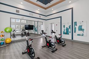West Melbourne apartment for rent - A gym with exercise bikes and a television.
