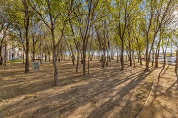 Walking trails through a preserved tree area