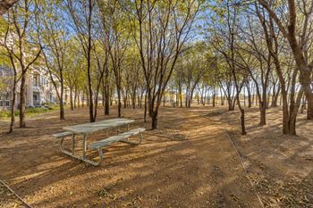 Walking trails through a preserved tree area