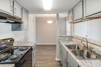 Deep farmhouse-style sink with a pull-down gooseneck faucet*