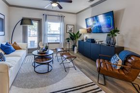 Georgetown apartment for rent - a living room with a couch and a tv