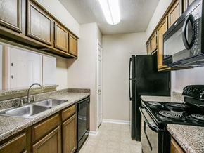 Houston apartment for rent - a kitchen with a sink and a refrigerator