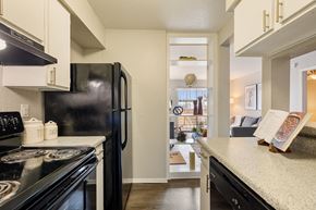 Houston apartment for rent - kitchen with black appliances and granite counter tops and a view of the living room