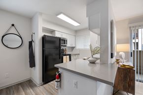 Houston apartment for rent - a kitchen with a black refrigerator and a white counter top