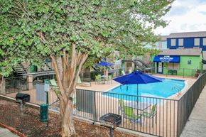 San Antonio apartment for rent - a swimming pool and a tree in front of a fence