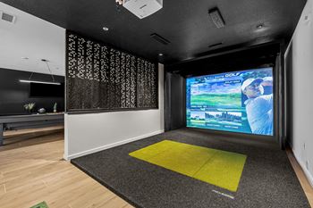 Professional golf simulator