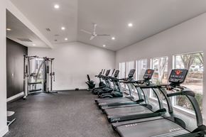Dallas apartment for rent - the gym has cardio machines and treadmills and large windows