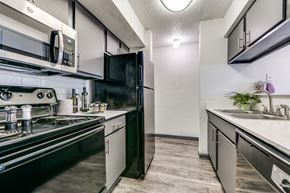Dallas apartment for rent - an apartment kitchen with black appliances and white counters