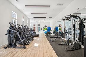 Spring Hill apartment for rent - A gym with a variety of exercise equipment including treadmills, stationary bikes, and weight machines.