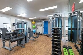 Phoenix apartment for rent - a gym with weights and cardio equipment on the floor and a mirrored wall