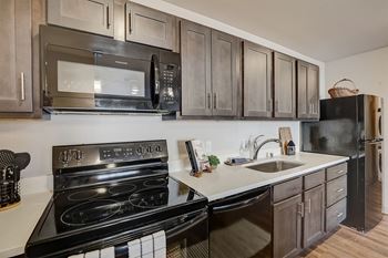 Energy-efficient black frigidaire appliances