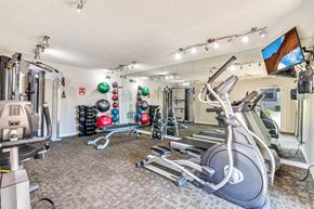 Phoenix apartment for rent - the gym at the enclave at woodbridge apartments in sugar land, tx