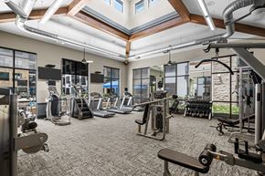 Houston apartment for rent - a gym with cardio equipment and weights in a building with windows