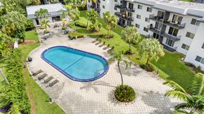 North Miami Beach apartment for rent - A swimming pool surrounded by palm trees and a building in the background.