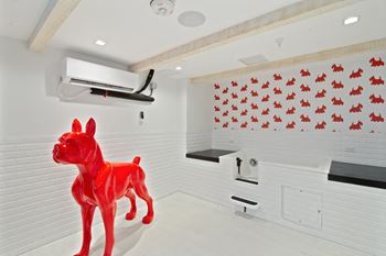 Pet spa w/ evolution dog wash
