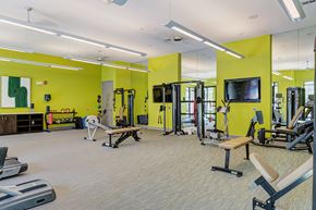 San Antonio apartment for rent - A gym with a variety of equipment including treadmills, weight benches, and a television.
