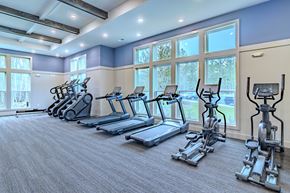 Bloomingdale apartment for rent - A row of treadmills and elliptical machines in a gym.