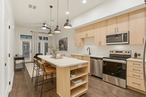 Nashville apartment for rent - A modern kitchen with wooden cabinets and stainless steel appliances.