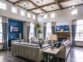 Conroe apartment for rent - A living room with a couch, a television, and a fireplace.