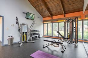 Cordova apartment for rent - the gym has plenty of equipment and a large window