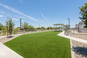 Phoenix apartment for rent - A well-maintained green lawn with a clear blue sky above.