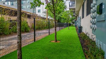 Onsite dog run