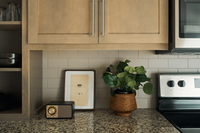 Nashville apartment for rent - A kitchen counter with a plant, picture frame, and radio.