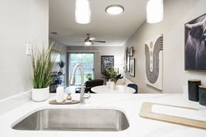 Austin apartment for rent - the view of the kitchen and living room from the counter top in a modern home