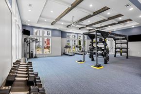 Antioch apartment for rent - A gym with a variety of equipment including TRX.