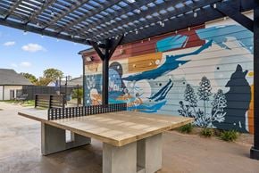 San Antonio apartment for rent - A mural of a wolf and other animals painted on a wall.