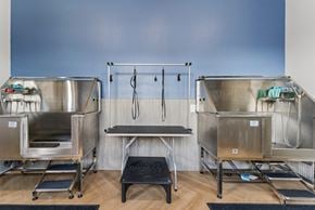 San Antonio apartment for rent - A set of three stainless steel tables with chairs in front of them.