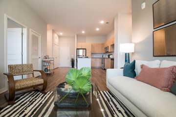 Charlotte apartment for rent - A living room with a white couch, a wooden chair, and a glass coffee table with a green plant on it.