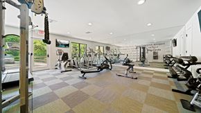 Round Rock apartment for rent - the gym at the enclave at woodbridge apartments in sugar land, tx