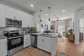 Austin apartment for rent - A modern kitchen with a stainless steel oven and microwave, a sink with a faucet, and a rug on the floor.