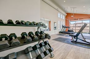 Castle Rock townhouse for rent - A gym with dumbbells and exercise equipment.