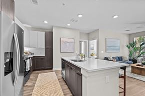 Spring Hill apartment for rent - A modern kitchen with a refrigerator on the left and a dining area with a blue couch.