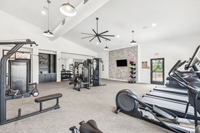 Hutto apartment for rent - A gym with treadmills, weights, and exercise equipment.