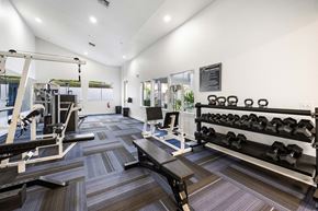 Apopka apartment for rent - the preserve at ballantyne commons gym with weights and cardio equipment
