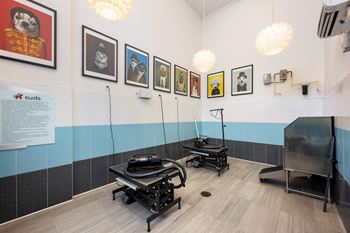 Indoor air-conditioned pet spa