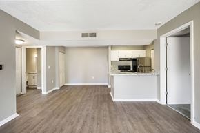 Orlando apartment for rent - the spacious living room and kitchen of an apartment