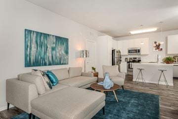 Orlando apartment for rent - A living room with a grey couch and a blue rug.