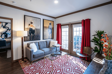 Austin apartment for rent - A living room with a grey couch, a red rug, and a painting on the wall.