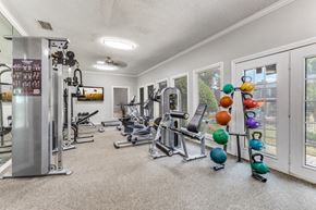 Tyler apartment for rent - the gym at 1861 muleshoe road in dallas