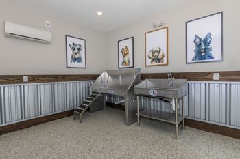 Dog wash station