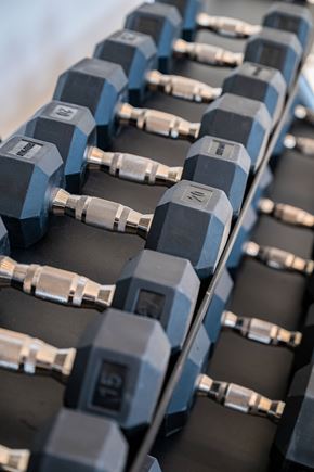 Alpharetta apartment for rent - A row of dumbbells with blue and black coloring.