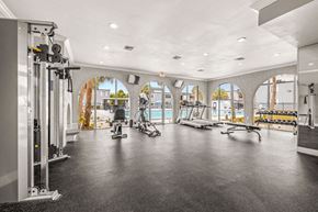 Tampa apartment for rent - the gym at the estates apartments