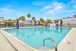 Tampa apartment for rent - our resort style swimming pool is surrounded by our apartments and has palm trees